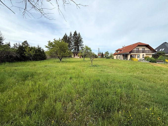 Hlavní obrázek - St. pozemek 2265 m2